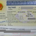 Vietnam Visa for the Malawian