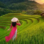 Unlocking Southeast Asia – Vietnam Visa for the Malawian Traveler