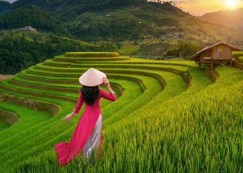 Unlocking Southeast Asia – Vietnam Visa for the Malawian Traveler